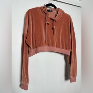 BBJ Los Angeles Cropped Velour Hoodie Pink Size L
